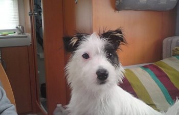 Iphone 2009 047.jpg
