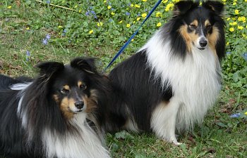 Eura Integra 790 EB 2015