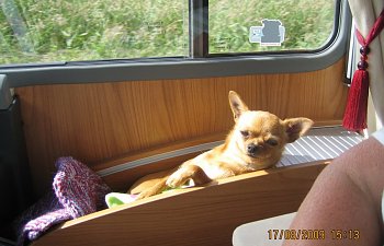 Burstner I710 Elegance