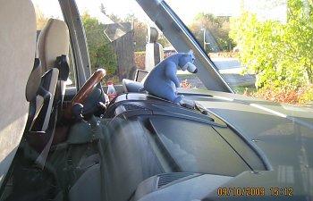IMG_1721.jpg