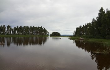 DSC00575.jpg