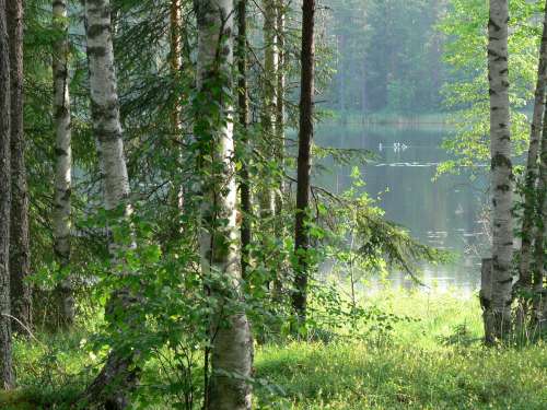 husbilskalle 013-500.jpg