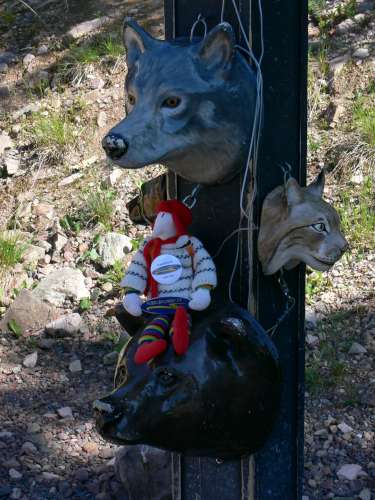 husbilskalle 026-500.jpg