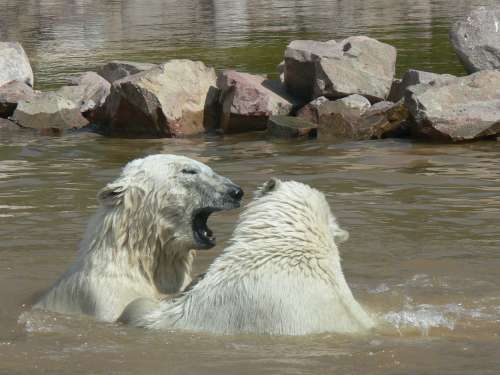 husbilskalle 033-500.jpg