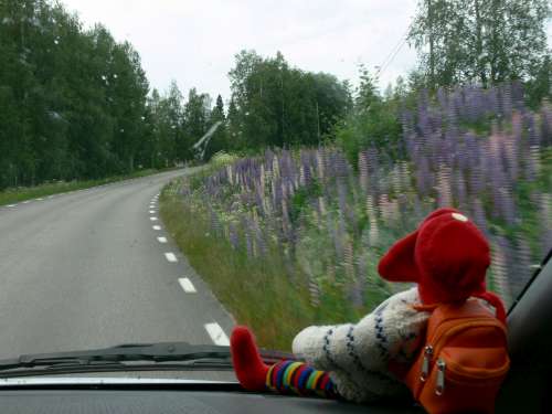 husbilskalle 045-500.jpg