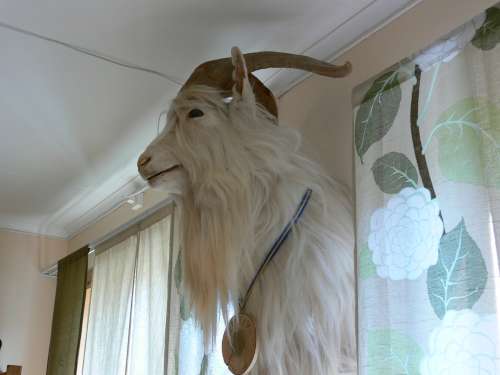 husbilskalle 155-500.jpg