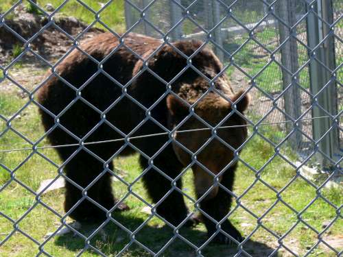 husbilskalle 027-500.jpg