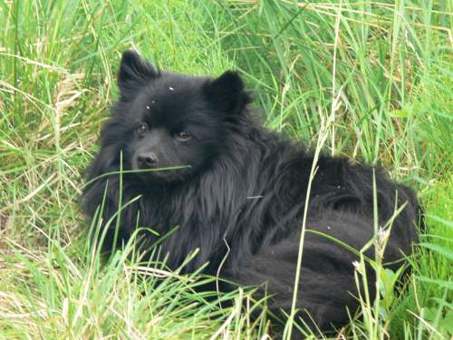 fatmomakke 019-500.jpg