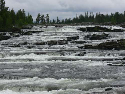 fatmomakke 027-500.jpg