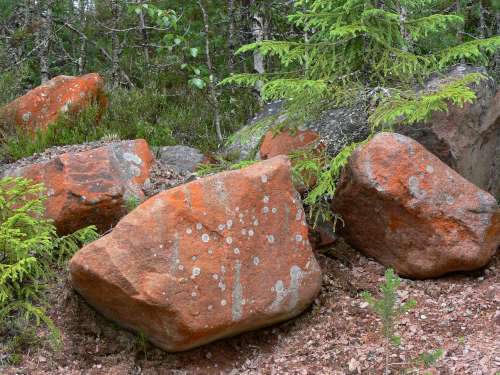 Frösön 029-500.jpg