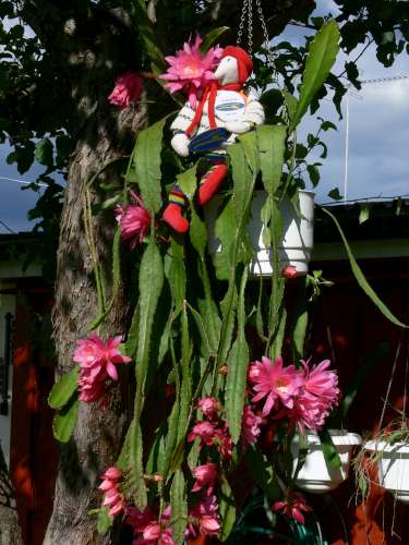 Frösön 040-500.jpg