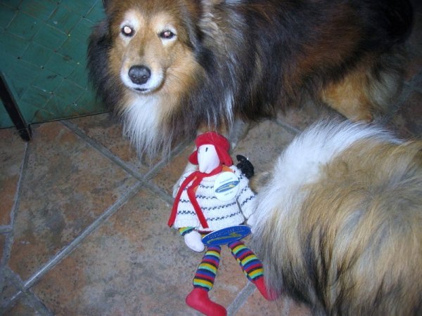 HusbilsKalle o Hobbe.JPG