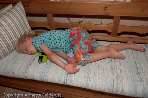 _DSC2574.jpg _DSC2574.jpg