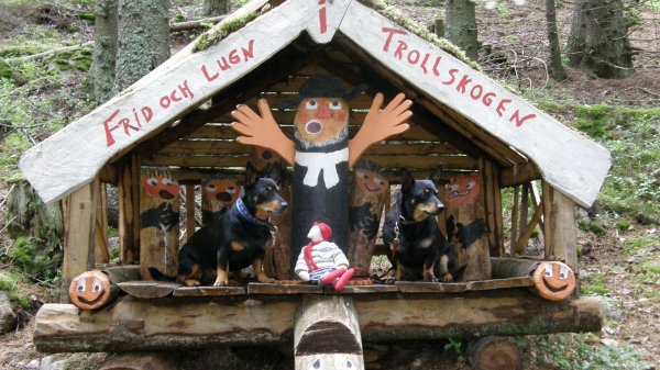 Kalle och hundarna på Trollstigen.JPG