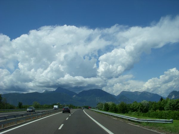 ratt mkt trevlig bild.JPG