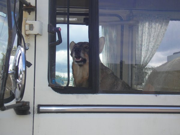 semester 09 068.jpg semester 09 068.jpg