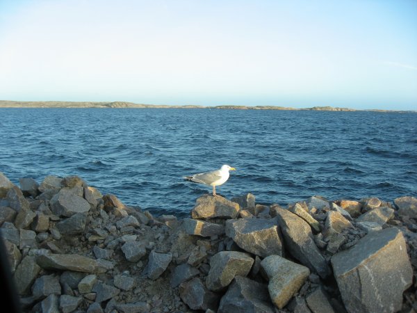 ,Semester 09 070.jpg