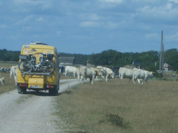 CIMG2089.JPG CIMG2089.JPG