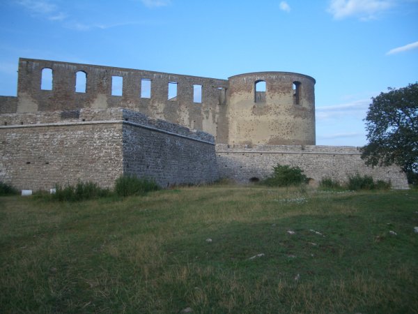 CIMG2099.JPG CIMG2099.JPG