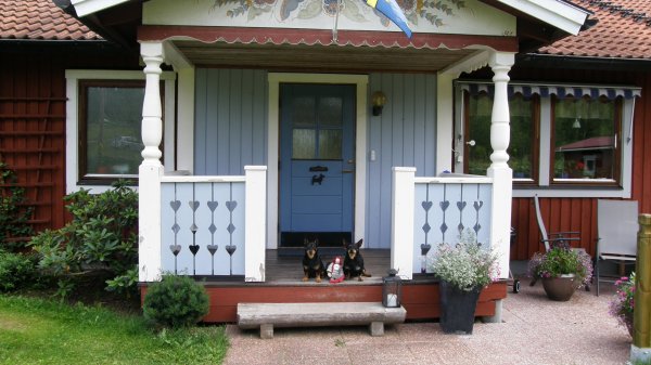 Kalle på trappen.JPG