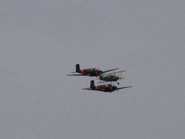 fly in 2009 096.JPG