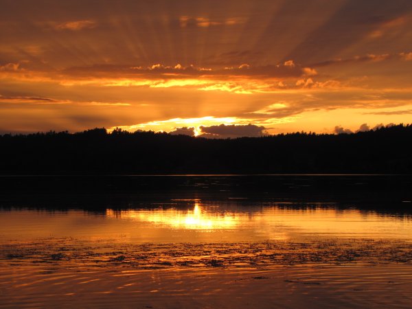 solnedgångaug 009.JPG