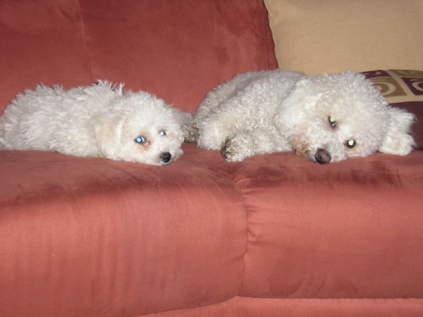 Kille ja Nippe 002.jpg