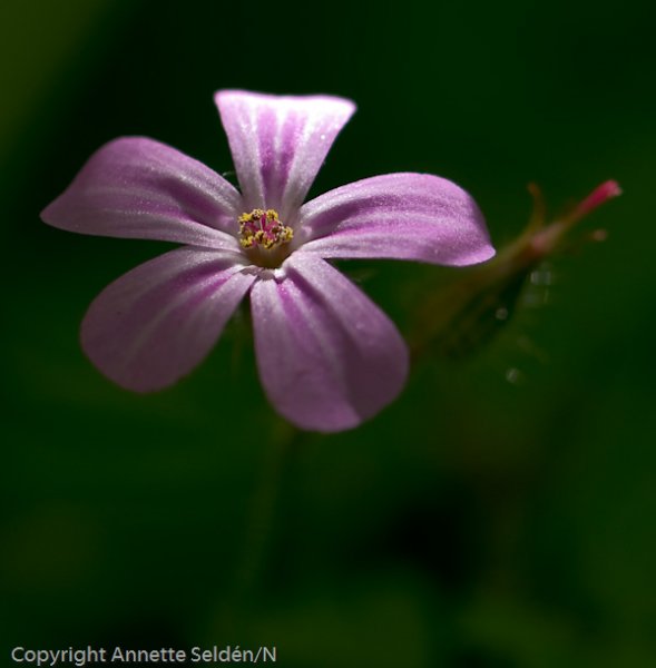 2009 06 06-111-Edit.jpg