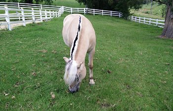 Ikke noe å ha med i husbilen (om det ikke er en meget spesiell)