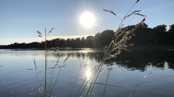 fullsizeoutput_1f49.jpeg fullsizeoutput_1f49.jpeg