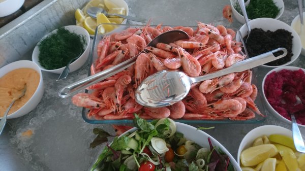 DSC_2924-4488x2525.JPG DSC_2924-4488x2525.JPG