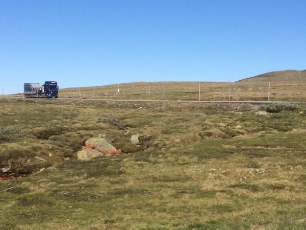 2018-06-26 17.33.43.jpg