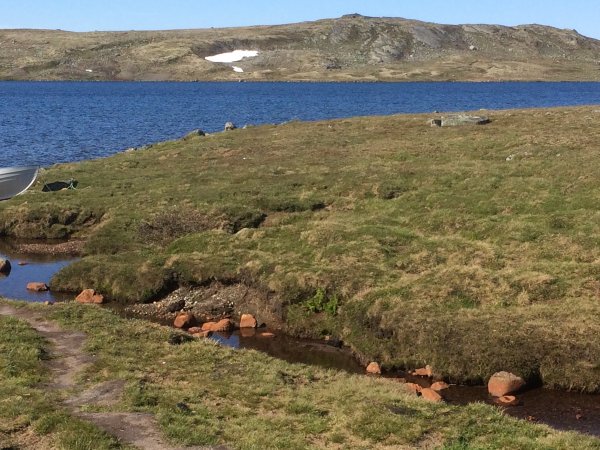 2018-06-26 17.33.11.jpg