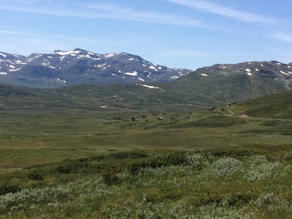 2018-06-27 13.44.40.jpg