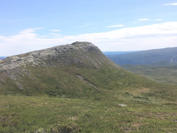 2018-06-27 13.50.43.jpg