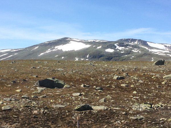 2018-06-27 14.24.06.jpg