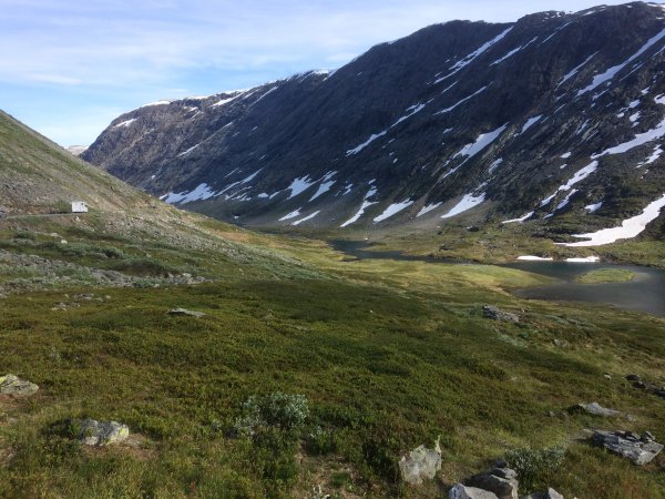 2018-06-27 18.23.56.jpg