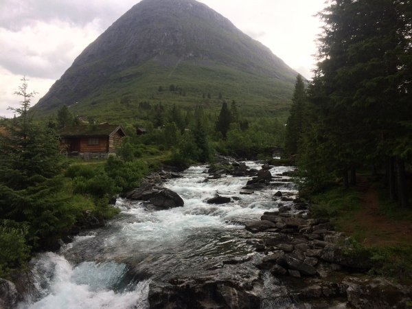 2018-06-28 09.50.30.jpg