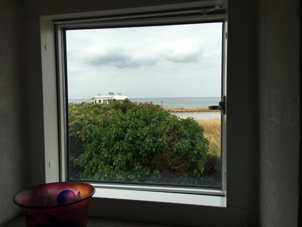 D54978FA-D2E1-4A5E-870D-D89DBADD9DBE.jpeg D54978FA-D2E1-4A5E-870D-D89DBADD9DBE.jpeg