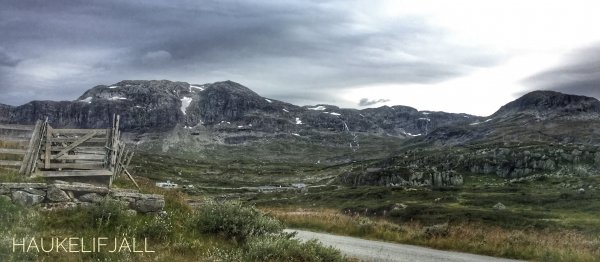 DE1651D7-D5FB-4784-9F92-4BE0DE5B632E.jpeg DE1651D7-D5FB-4784-9F92-4BE0DE5B632E.jpeg