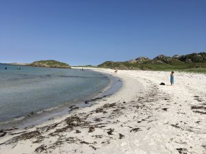 D215D9CE-D8F6-4B26-97FC-EEC973314632.jpeg D215D9CE-D8F6-4B26-97FC-EEC973314632.jpeg