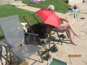 IMG_1829.jpg