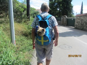 IMG_1612.jpg