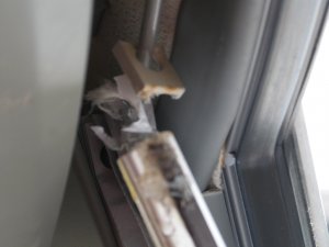 Plissègardin 001.JPG