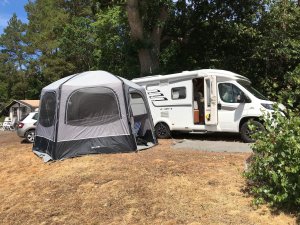 AE93AFC1-67FA-4744-BB6C-40DD8330893F.jpeg AE93AFC1-67FA-4744-BB6C-40DD8330893F.jpeg