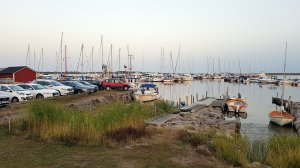 2018-08-09 20.38.40.jpg