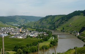 P1120351.JPG P1120351.JPG