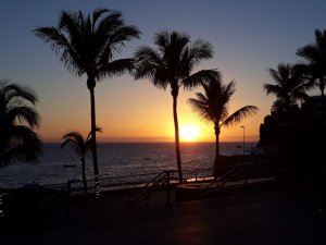 20180727_205947.jpg