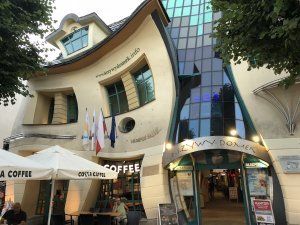 9FDA6560-2667-48F7-99A2-8A1675044823.jpeg 9FDA6560-2667-48F7-99A2-8A1675044823.jpeg