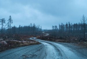 Hälleskogsbrännan nov 2017.jpg